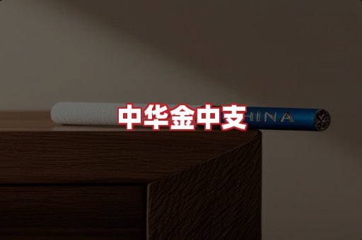 中华金中支